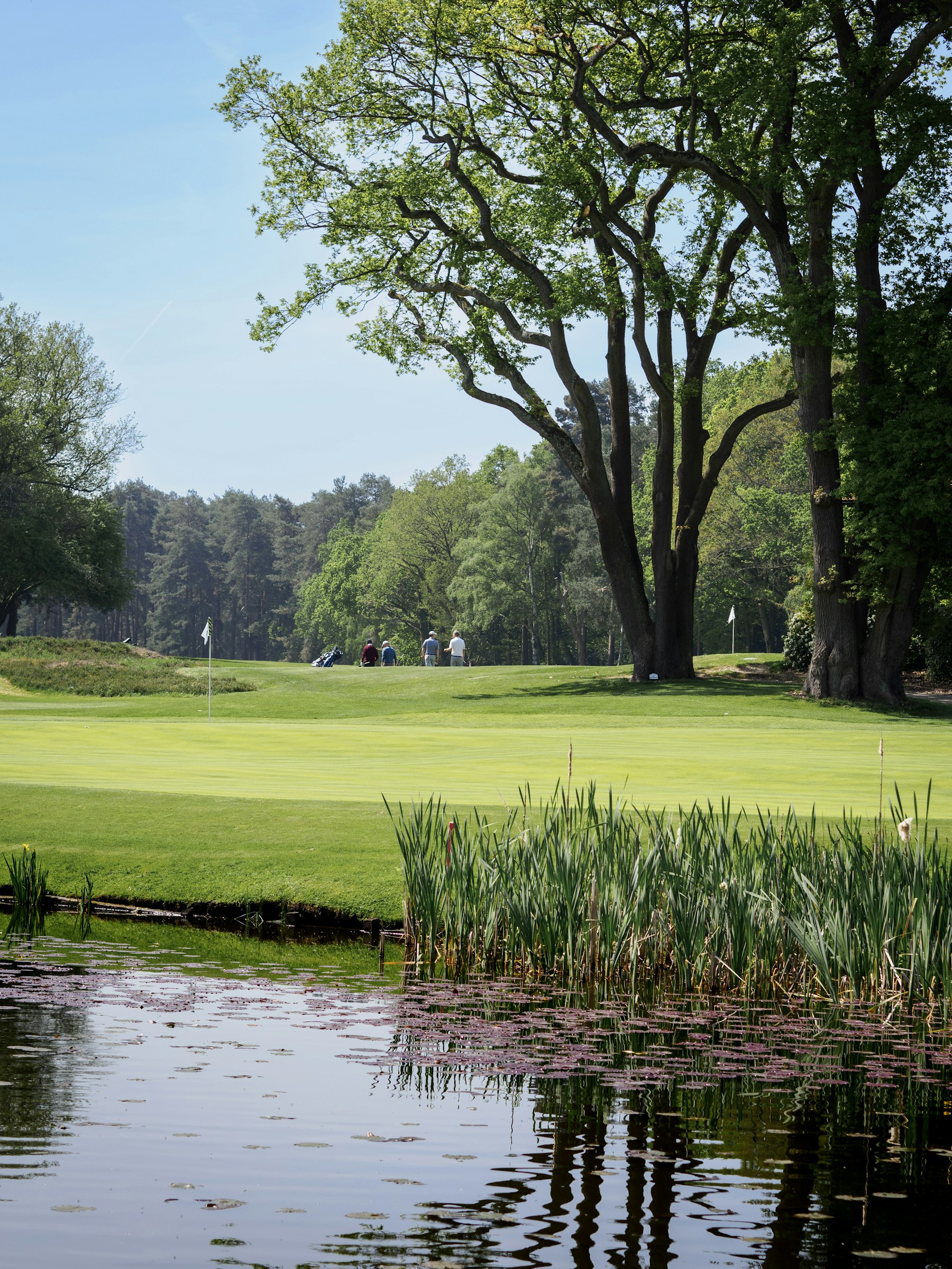 The Course